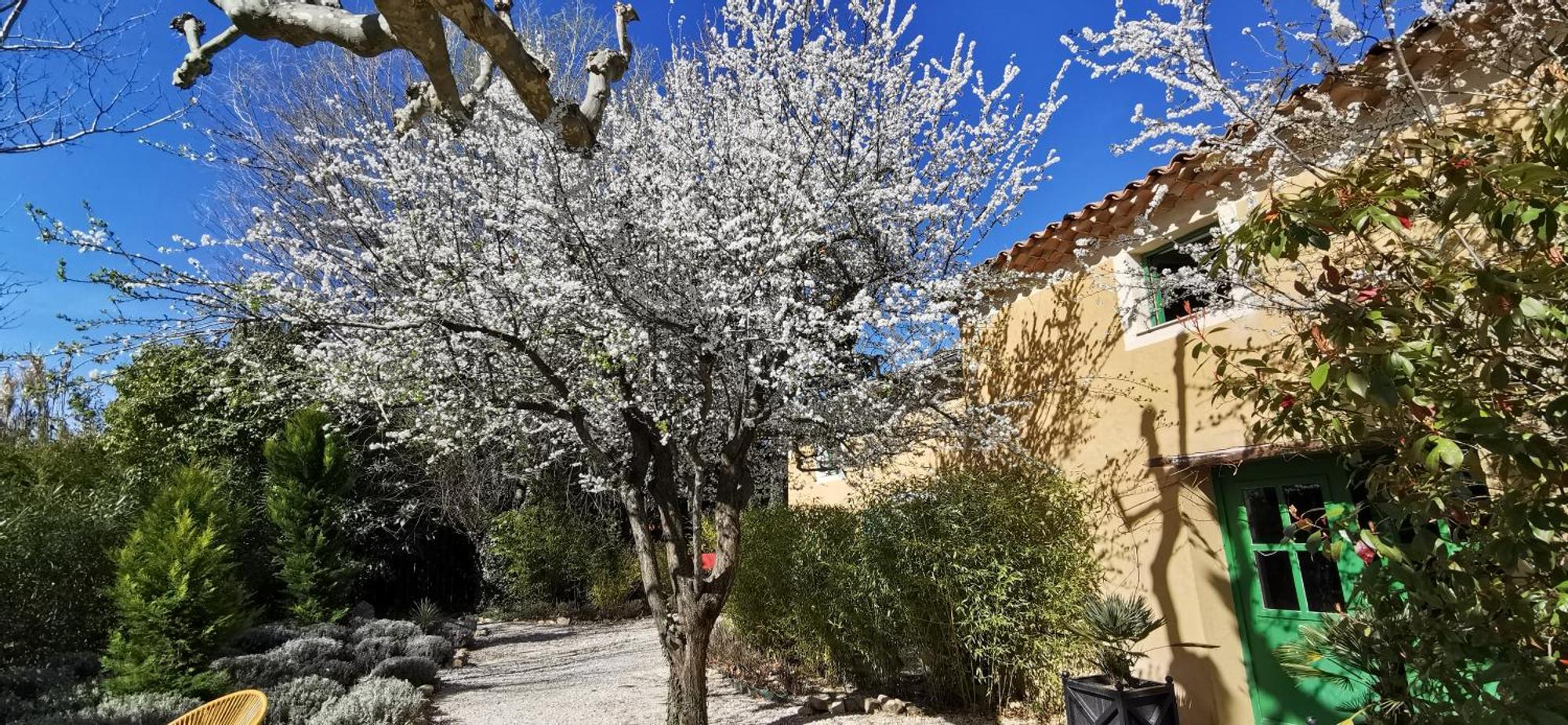 مدينة ساريانس Lavand'Ange Et Spa المظهر الخارجي الصورة