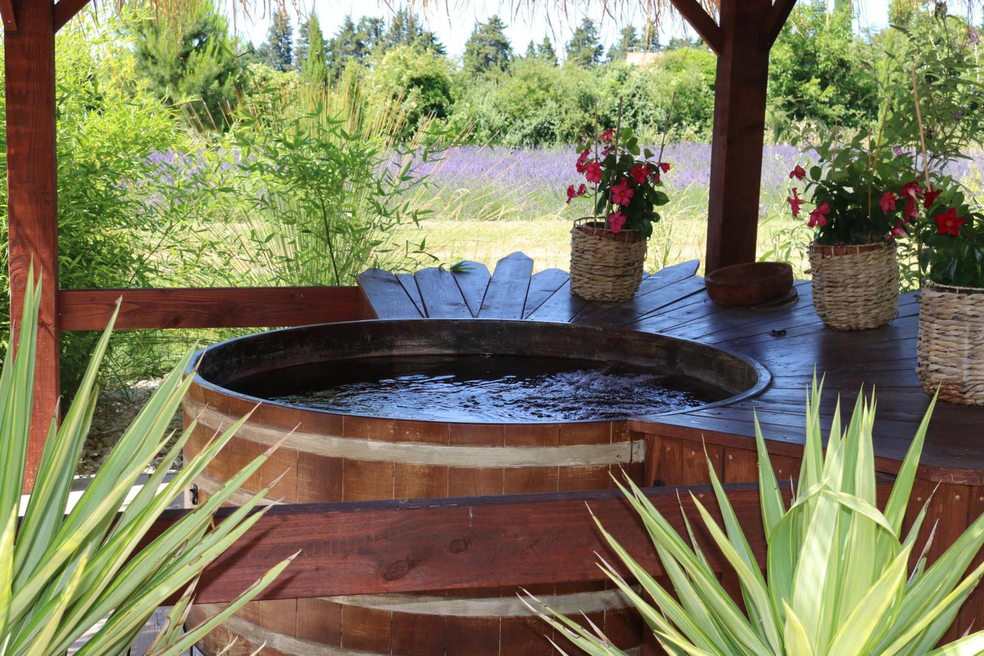 مدينة ساريانس Lavand'Ange Et Spa المظهر الخارجي الصورة