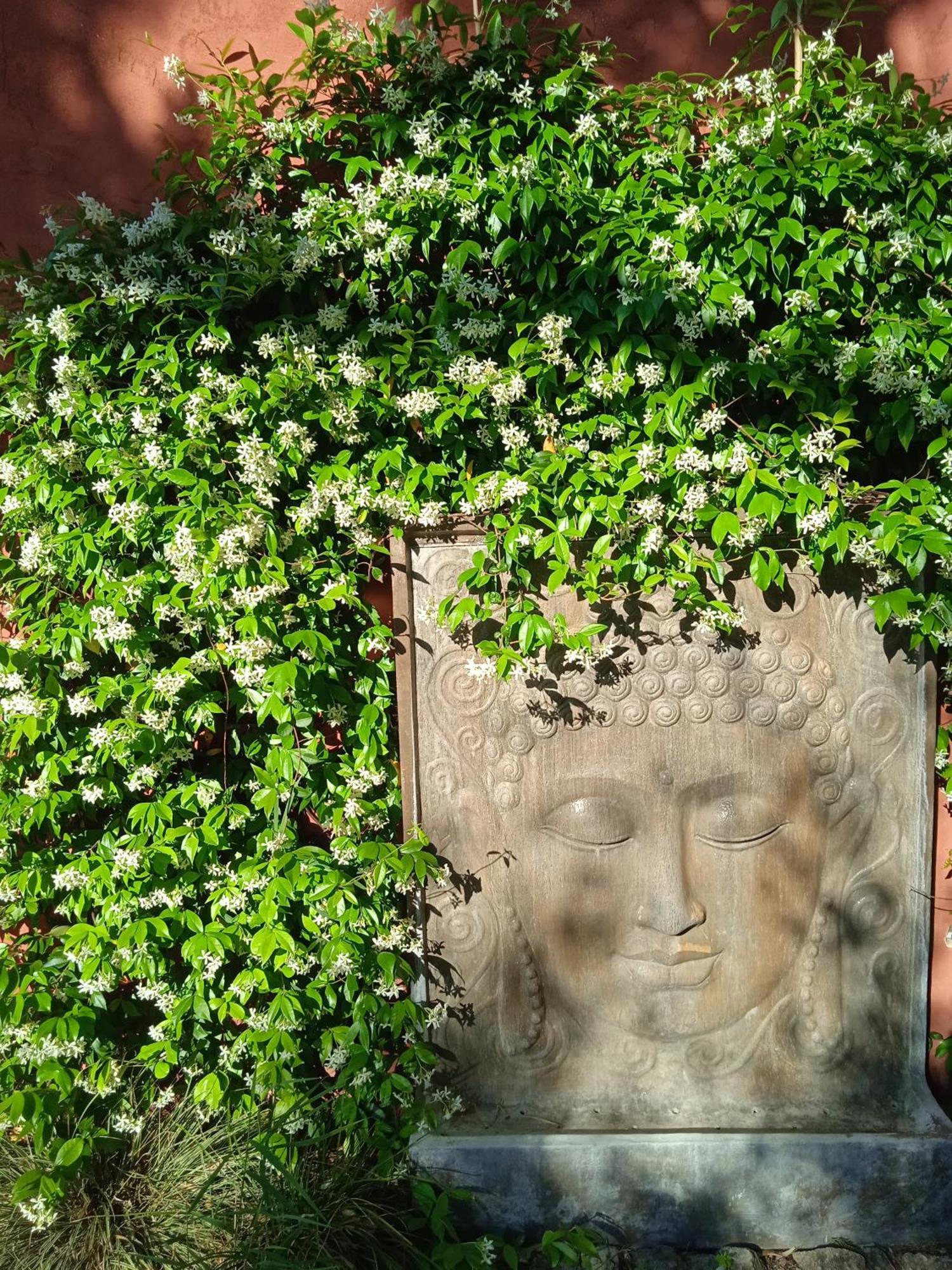 مدينة ساريانس Lavand'Ange Et Spa المظهر الخارجي الصورة